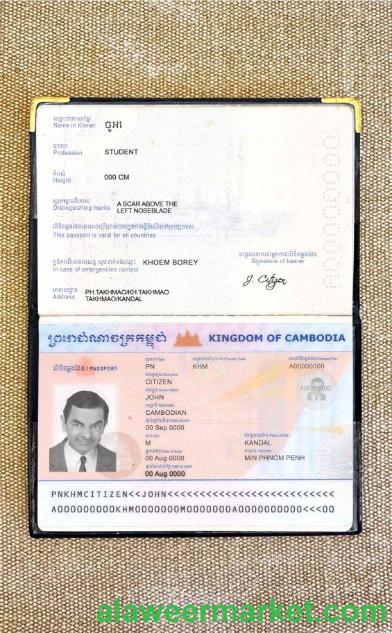 Cambodia passport photo look
